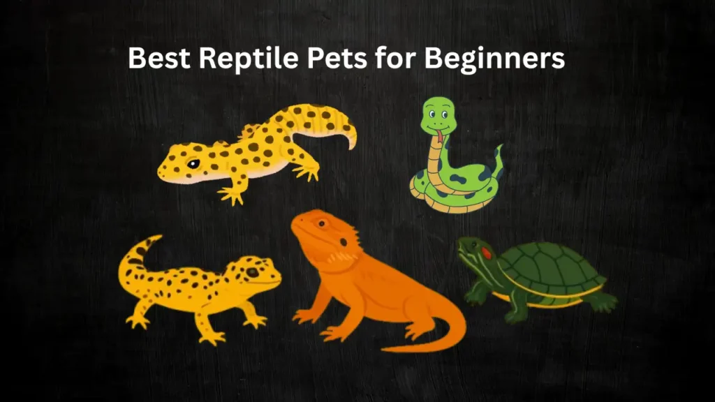 Top 7 Best Reptile Pets for Beginners – Care, Diet & Housing Guide