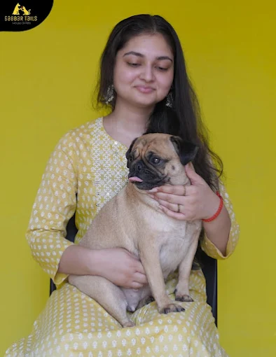 Gabbar Tails | Pet Grooming for Dogs & Cats Patna