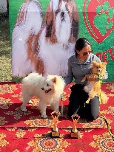 Minnie Pet Care & Kennel – Pet Clinic Danapur Patna