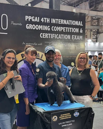 AB Pet Grooming Studio – Pet Grooming in Chembur, Mumbai