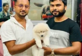 Anurag Kennel and Pet Shop – Pet Care in Patna