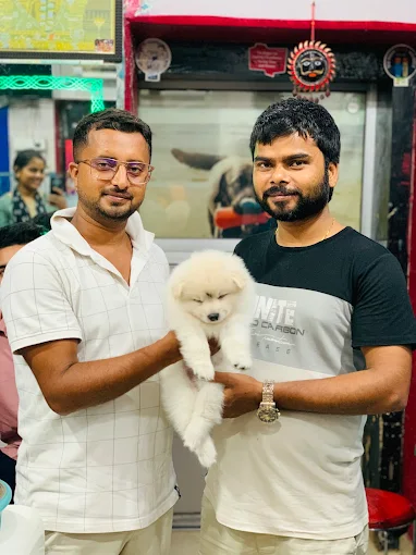 Anurag Kennel and Pet Shop – Pet Care in Patna