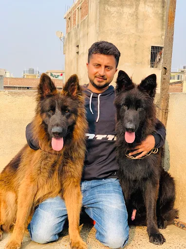 Anurag Kennel and Pet Shop – Pet Care in Patna