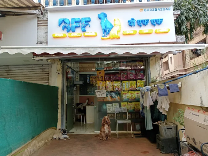 BFF Pet Spa – Pet Grooming & Boarding in Mumbai