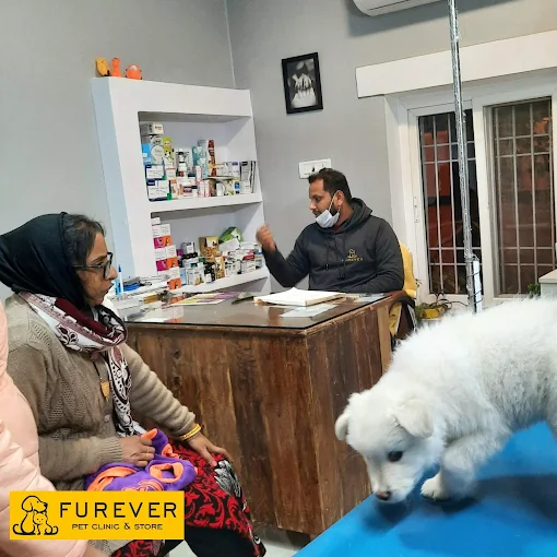 Furever Pet Clinic, Spa & Store in Patna