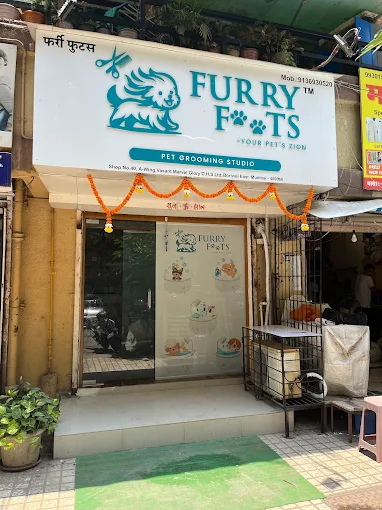 Furry Foots – Pet Grooming Studio in Borivali East, Mumbai
