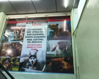 Home 10 HI-Tech-Pet-Grooming-Center