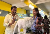 Just Groom – Pet Spa & Salon in Jubilee Hills, Hyderabad