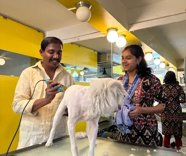 Just-Groom-Best-Luxury-Pet-Spa-Saloon-in-Hyderabad