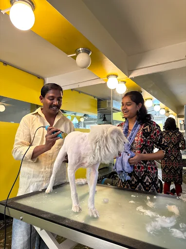 Just Groom – Pet Spa & Salon in Jubilee Hills, Hyderabad