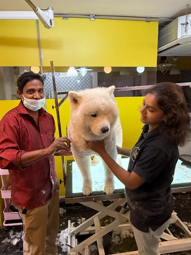 Just Groom – Pet Spa & Salon in Jubilee Hills, Hyderabad