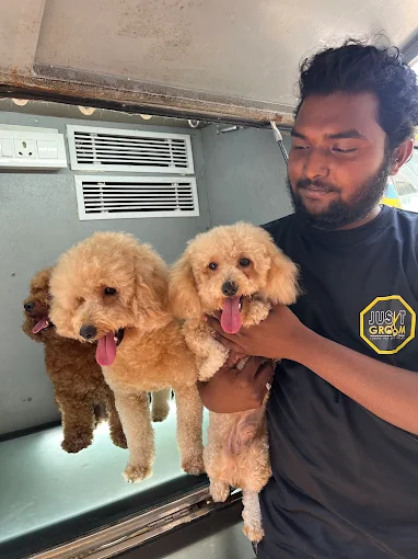 Just Groom – Pet Spa & Salon in Jubilee Hills, Hyderabad