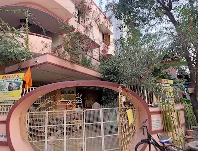 Maltis-Dog-Grooming-Spa-–-Pet-Care-in-Patna