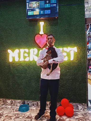 Mero Pet – Pet Store, Grooming & Daycare in Patna