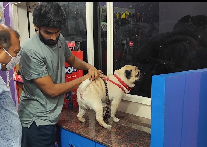 PETPLANET Dog Clinic – Best Veterinarian in Hyderabad