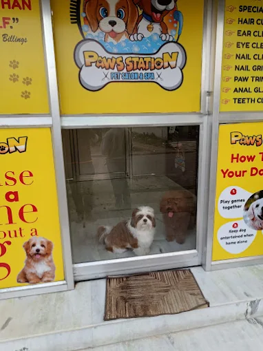 Paws Station – Pet Grooming Service in Kolkata