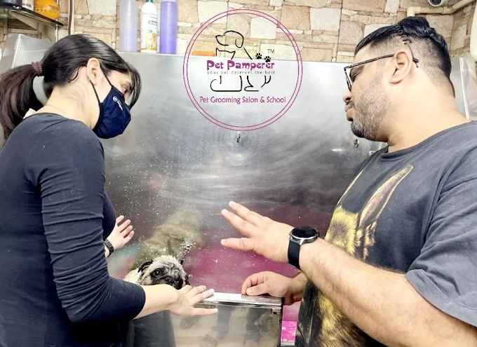 Pet Pamperer – Pet Grooming Salon & School Mumbai