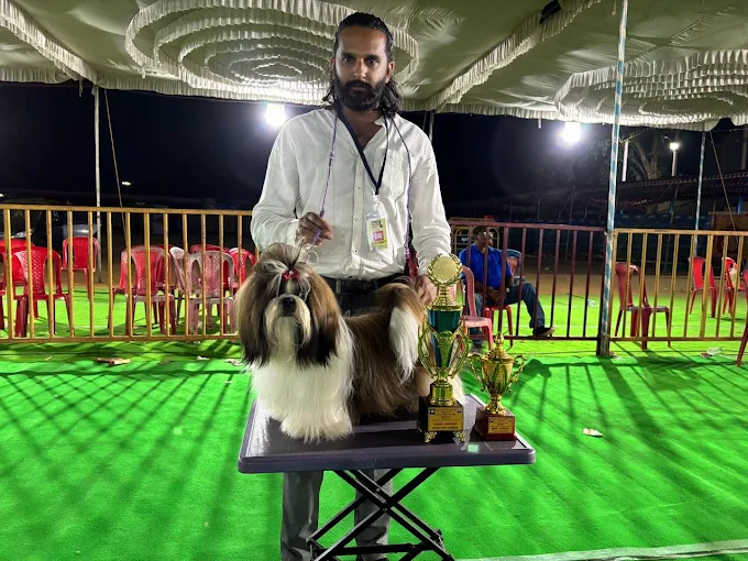 Pet Society – Pet Grooming Spa & Store in Bengaluru