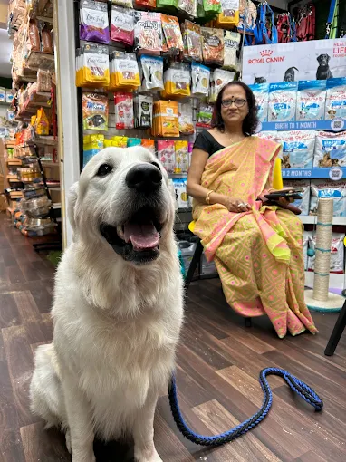 Pups and Pets Grooming & Clinic in Salt Lake, Kolkata
