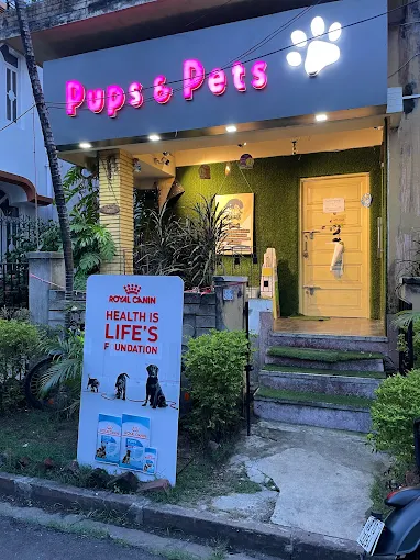 Pups and Pets Grooming & Clinic in Salt Lake, Kolkata