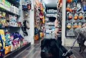 Pups and Pets Grooming & Clinic in Salt Lake, Kolkata