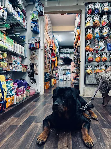 Pups and Pets Grooming & Clinic in Salt Lake, Kolkata