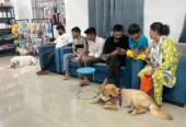 Skywalker Petcare & Grooming Studio in Patna