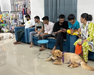 SKYWALKER-Petcare-and-Grooming-Studio1