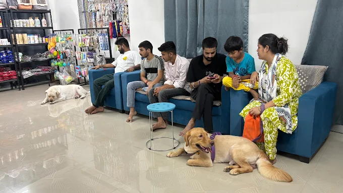 Skywalker Petcare & Grooming Studio in Patna