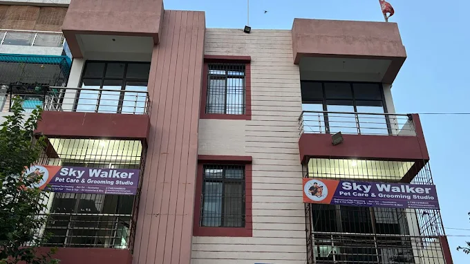 Skywalker Petcare & Grooming Studio in Patna