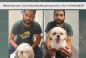 The Pet K9 – Pet Grooming & Care in Delhi