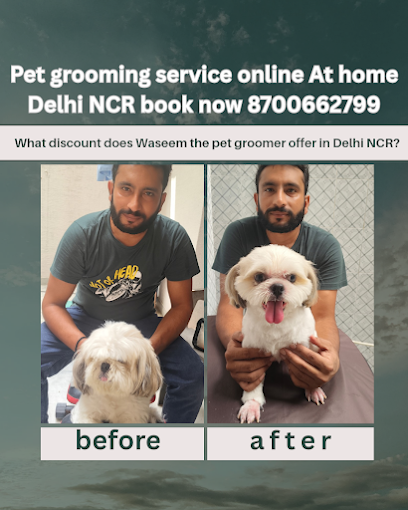 The Pet K9 – Pet Grooming & Care in Delhi