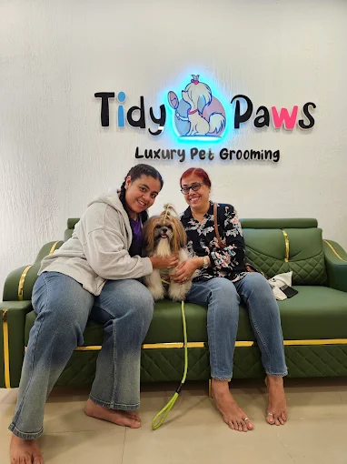 Tidy Paws – Pet Grooming Salon in Mira Road East, Thane