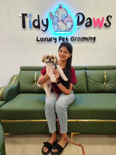 Tidy Paws – Pet Grooming Salon in Mira Road East, Thane