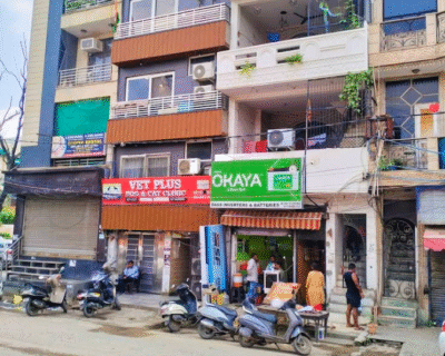 Home 6 Vet-Plus-Dog-Cat-Clinic-in-Kalyan-Vihar-Delhi-1