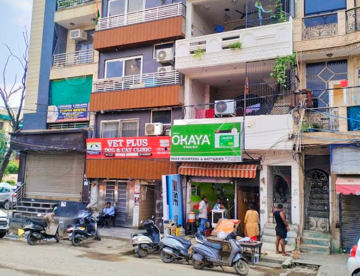 Vet Plus Dog & Cat Clinic in Kalyan, Vihar Delhi