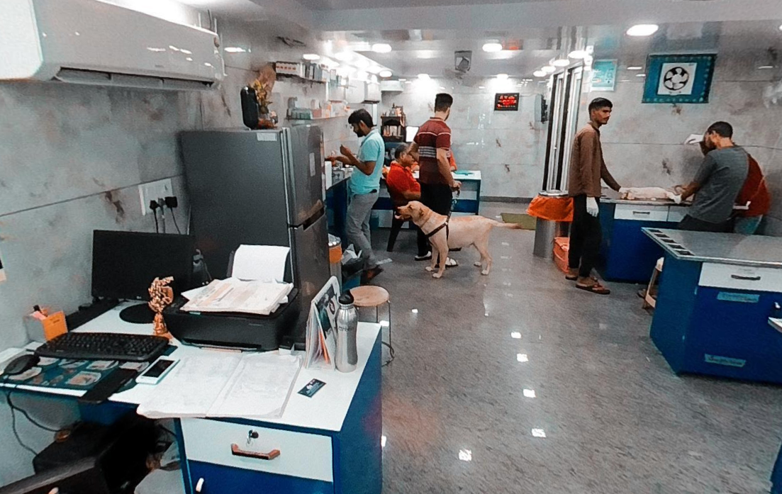 Vet Plus Dog & Cat Clinic in Kalyan, Vihar Delhi