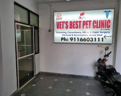 Home 5 Vets-Best-Pet-Clinic-Dr.-Lokkit