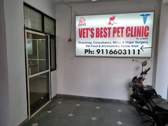 Vet’s Best Pet Clinic – Vasant Kunj, New Delhi