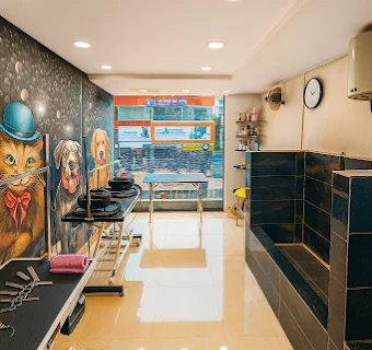 Home 12 Yes-Paws-Luxury-Pet-SPA-Grooming-Boarding-Training-Walking