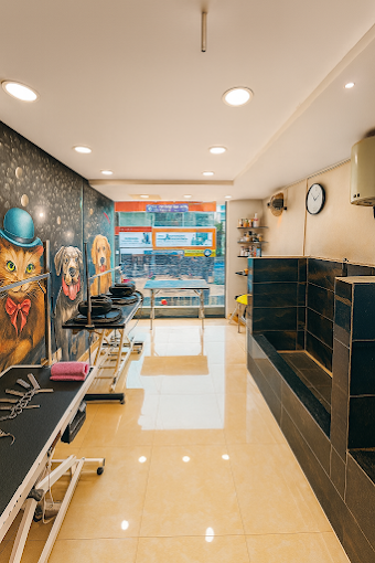 Yes Paws – Luxury Pet Spa, Grooming in Kondapur, Hyderabad