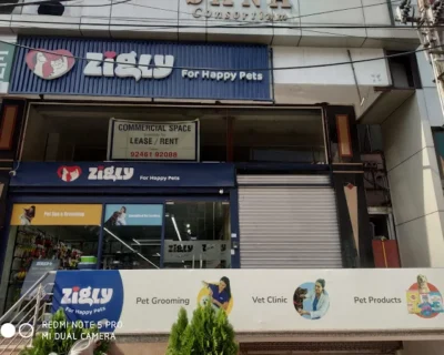 Zigly-Vet-Clinic-Pet-Grooming-Pet-Products-Secunderabad