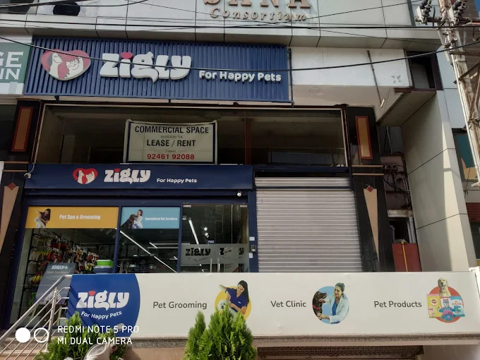Zigly – Vet Clinic, Pet Grooming in Secunderabad