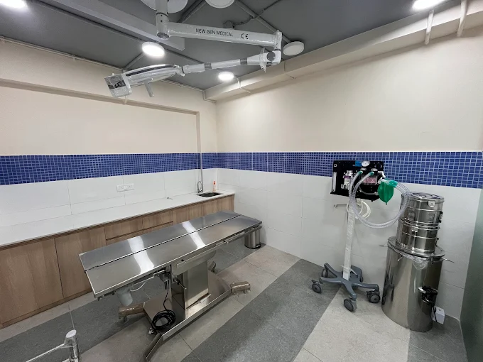 Zigly – Vet Clinic, Pet Grooming in Secunderabad