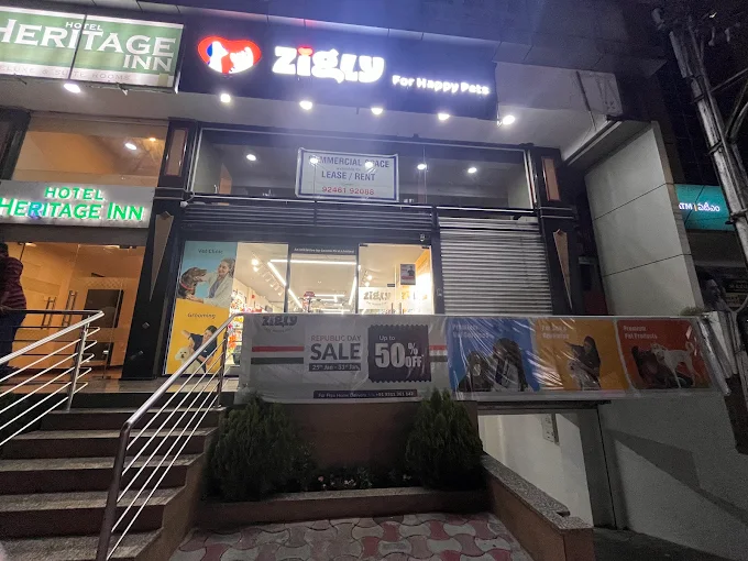 Zigly – Vet Clinic, Pet Grooming in Secunderabad