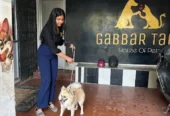 Gabbar Tails | Pet Grooming for Dogs & Cats Patna