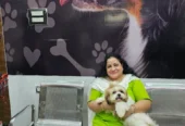 Gabbar Tails | Pet Grooming for Dogs & Cats Patna