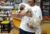 Bark N Brush – Pet Grooming for Dogs & Cats in Patna