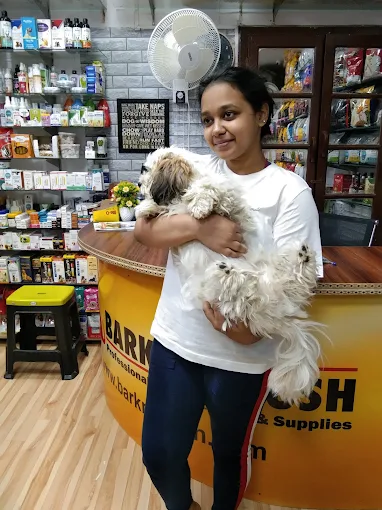 Bark N Brush – Pet Grooming for Dogs & Cats in Patna