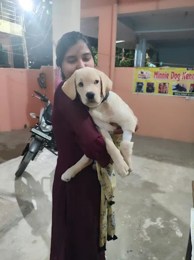 Minnie Pet Care & Kennel – Pet Clinic Danapur Patna